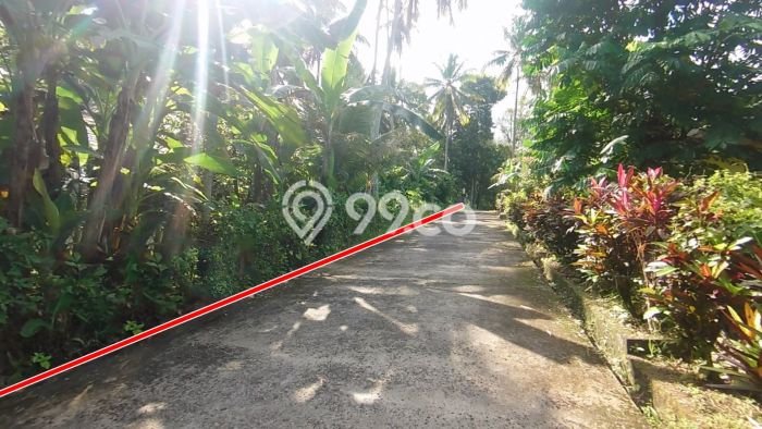 Lahan untuk Dijual di Penebel Tabanan Luas 6400m2 Lahan untuk Dijual di Penebel Tabanan Luas 6400m2