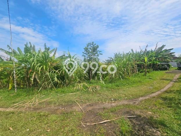 Untuk Disewa Tanah di Tabanan, Luas 600m2 Area Berkembang Untuk Disewa Tanah di Tabanan, Luas 600m2 Area Berkembang