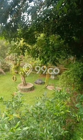 Kavling Tanah Dijual di Parung Bogor Spesifikasi 5462m2 Kavling Tanah Dijual di Parung Bogor Spesifikasi 5462m2