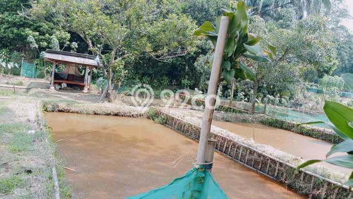 Tanah Lokasi Potensial Kawasan Tajur Halang, Luas 700m2m², Akses ke Pusat Kota, Akses Tajur Halang, Bogor, Bogor Tanah Lokasi Potensial Kawasan Tajur Halang, Luas 700m2m², Akses ke Pusat Kota, Akses Tajur Halang, Bogor, Bogor