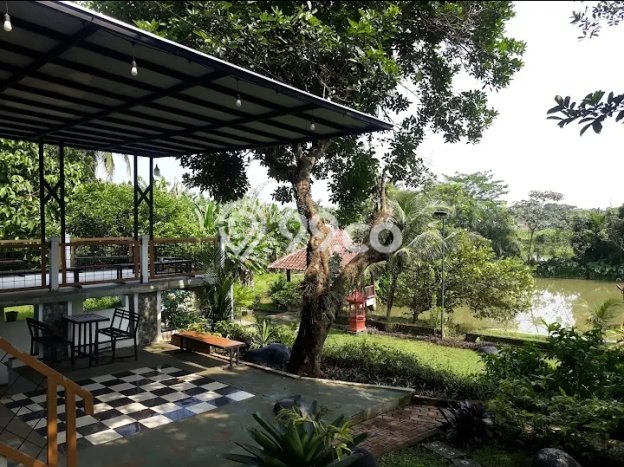 Kavling Tanah Dijual di Parung Bogor Spesifikasi 5462m2 Kavling Tanah Dijual di Parung Bogor Spesifikasi 5462m2
