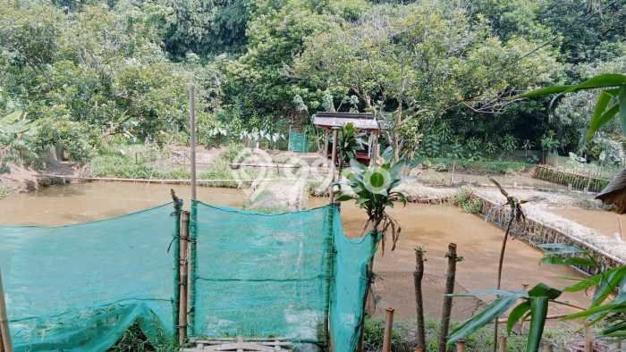 Tanah Lokasi Potensial Kawasan Tajur Halang, Luas 700m2m², Akses ke Pusat Kota, Akses Tajur Halang, Bogor, Bogor Tanah Lokasi Potensial Kawasan Tajur Halang, Luas 700m2m², Akses ke Pusat Kota, Akses Tajur Halang, Bogor, Bogor