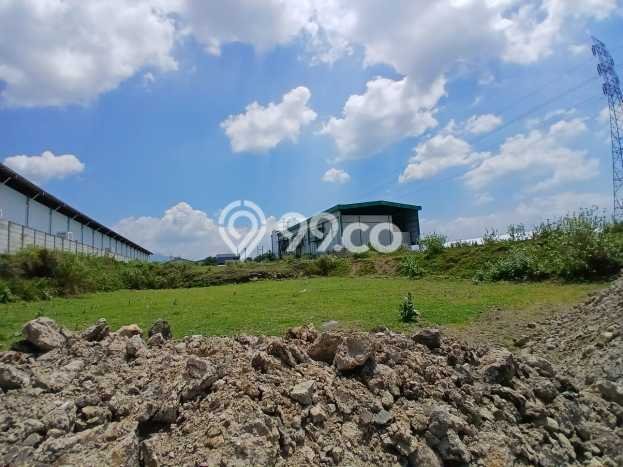 Disewakan Tanah Lokasi Strategis di Ngaliyan Semarang 6580m2 Disewakan Tanah Lokasi Strategis di Ngaliyan Semarang 6580m2