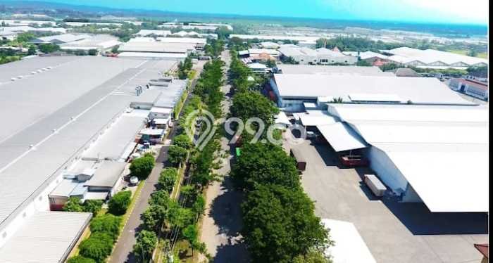 Kavling Tanah Dijual di Tugu Semarang Spesifikasi 100000m2 Kavling Tanah Dijual di Tugu Semarang Spesifikasi 100000m2