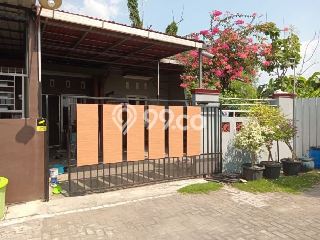 Dijual Cepat Rumah Favorit Siap Huni LB 65m2 di Pedurungan, Semarang Dijual Cepat Rumah Favorit Siap Huni LB 65m2 di Pedurungan, Semarang