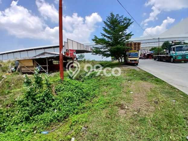 Disewakan Tanah Lokasi Strategis di Ngaliyan Semarang 6580m2 Disewakan Tanah Lokasi Strategis di Ngaliyan Semarang 6580m2