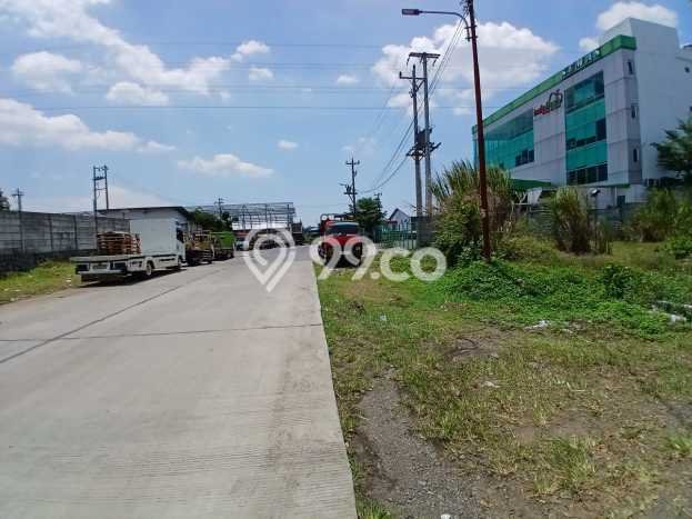 Disewakan Tanah Lokasi Strategis di Ngaliyan Semarang 6580m2 Disewakan Tanah Lokasi Strategis di Ngaliyan Semarang 6580m2