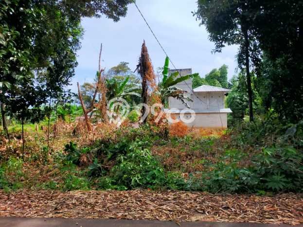 Tanah Dijual Lokasi Sijuk Belitung SHM Tanah Dijual Lokasi Sijuk Belitung SHM