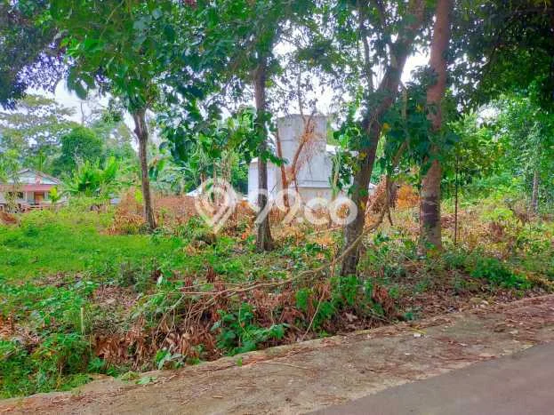 Tanah Dijual Lokasi Sijuk Belitung SHM Tanah Dijual Lokasi Sijuk Belitung SHM
