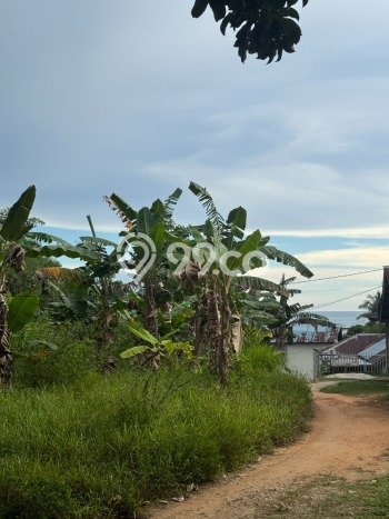Tanah Dijual Lokasi Sijuk Belitung SHM Tanah Dijual Lokasi Sijuk Belitung SHM