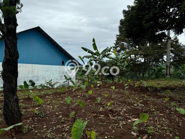 Lokasi Strategis! Dijual Pabrik Bisnis di Gunung Sindur, Bogor Kondisi Baik Lokasi Strategis! Dijual Pabrik Bisnis di Gunung Sindur, Bogor Kondisi Baik