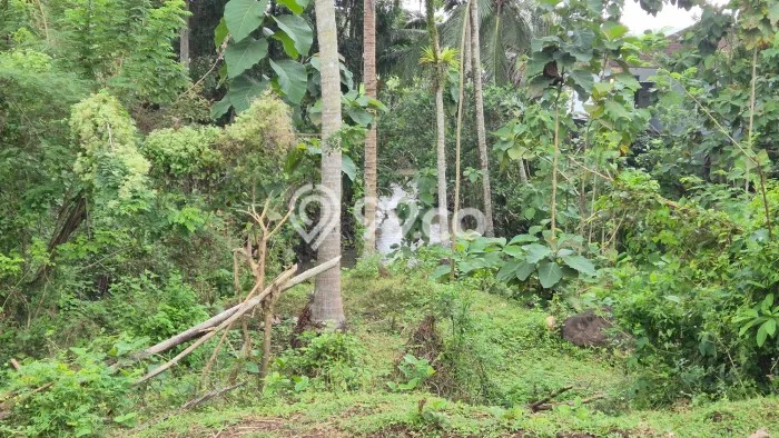 Tanah Kavling Dijual di Tabanan dengan Spesifikasi 2690m2 Tanah Kavling Dijual di Tabanan dengan Spesifikasi 2690m2