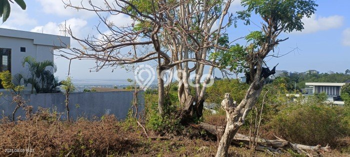 Dijual Tanah Kawasan Bisnis Kawasan Goa Gong, Luas 2000m², Cocok untuk Investasi Dijual Tanah Kawasan Bisnis Kawasan Goa Gong, Luas 2000m², Cocok untuk Investasi