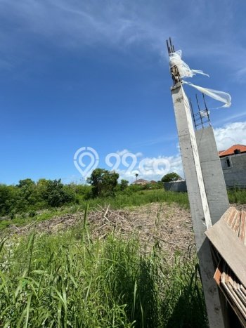 Tanah Disewakan Lokasi Badung Seluas 500m2 Strategis dan Aman Tanah Disewakan Lokasi Badung Seluas 500m2 Strategis dan Aman