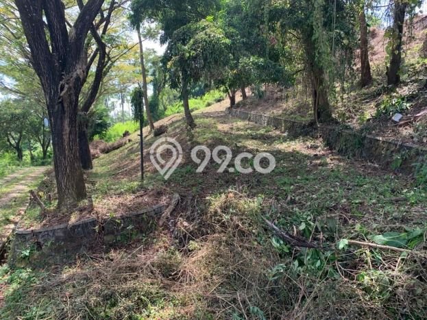 Tanah Dijual Lokasi Batu Layar, Lombok Barat Luas 2291m2 Legalitas Aman Tanah Dijual Lokasi Batu Layar, Lombok Barat Luas 2291m2 Legalitas Aman