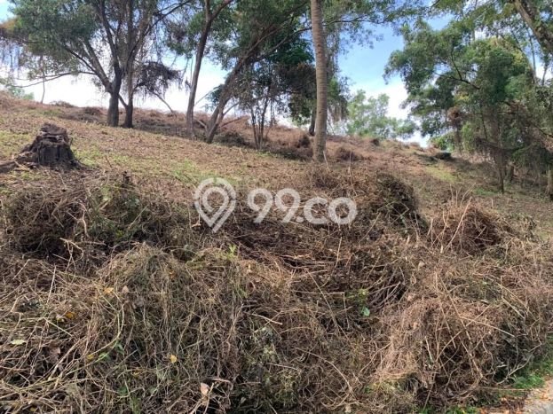Tanah Dijual Lokasi Batu Layar, Lombok Barat Luas 2291m2 Legalitas Aman Tanah Dijual Lokasi Batu Layar, Lombok Barat Luas 2291m2 Legalitas Aman