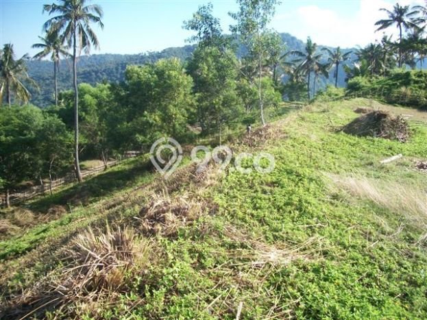 Tanah Dijual Lokasi Batu Layar, Lombok Barat Luas 2291m2 Legalitas Aman Tanah Dijual Lokasi Batu Layar, Lombok Barat Luas 2291m2 Legalitas Aman