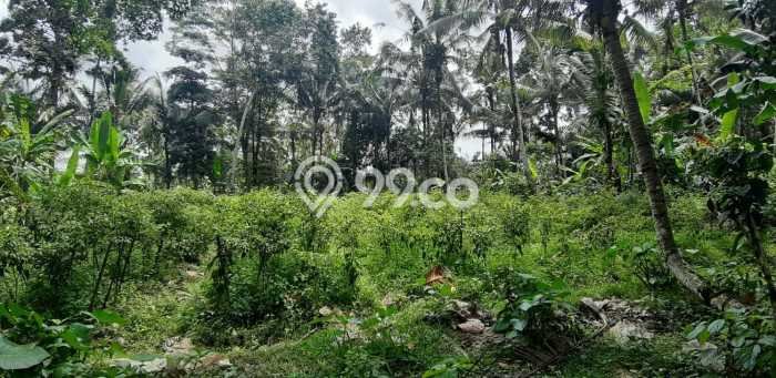 Untuk Dijual Tanah 2200m2 di Keliki, Gianyar Untuk Dijual Tanah 2200m2 di Keliki, Gianyar
