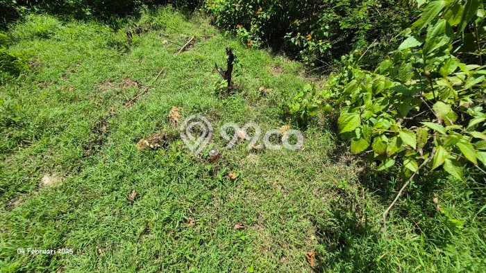 Tanah Lokasi Potensial Kawasan Kuta Selatan, Luas 1100m², Dekat ke Pusat Kota, Dekat Kuta Selatan, Badung, Badung Tanah Lokasi Potensial Kawasan Kuta Selatan, Luas 1100m², Dekat ke Pusat Kota, Dekat Kuta Selatan, Badung, Badung