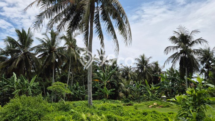 Dijual Tanah di Blahbatuh Gianyar Luas 453m2 SHM Dijual Tanah di Blahbatuh Gianyar Luas 453m2 SHM