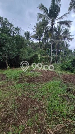Tanah Kavling Dijual di Tabanan dengan Spesifikasi 2690m2 Tanah Kavling Dijual di Tabanan dengan Spesifikasi 2690m2