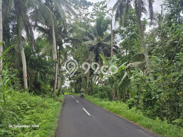 Dijual Tanah Lokasi Kenderan, Gianyar Seluas 2042m2 Dijual Tanah Lokasi Kenderan, Gianyar Seluas 2042m2