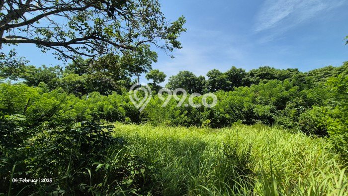 Tanah Lokasi Potensial Kawasan Kuta Selatan, Luas 1100m², Dekat ke Pusat Kota, Dekat Kuta Selatan, Badung, Badung Tanah Lokasi Potensial Kawasan Kuta Selatan, Luas 1100m², Dekat ke Pusat Kota, Dekat Kuta Selatan, Badung, Badung