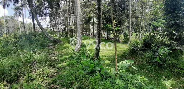 Untuk Dijual Tanah 2200m2 di Keliki, Gianyar Untuk Dijual Tanah 2200m2 di Keliki, Gianyar