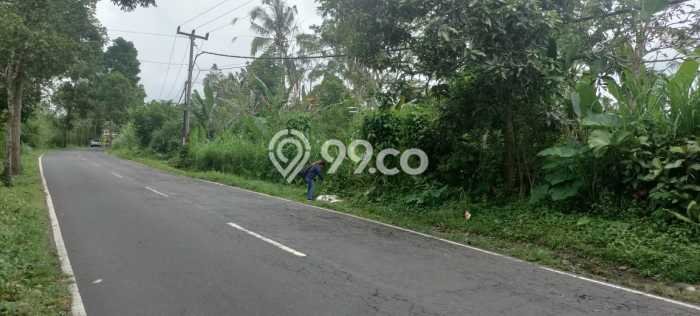 Lahan Kosong Dijual di Gianyar dengan Area 3000m2 Lahan Kosong Dijual di Gianyar dengan Area 3000m2
