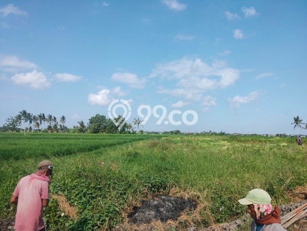 Tanah Siap Bangun Dijual di Badung Punya Luas 189m2 Tanah Siap Bangun Dijual di Badung Punya Luas 189m2