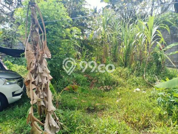 Tanah Kavling di Ubud Dijual dengan Luas 760m2 Tanah Kavling di Ubud Dijual dengan Luas 760m2