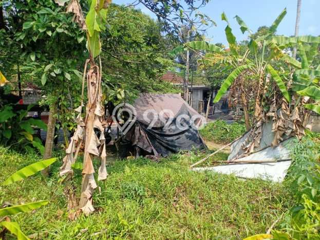Tanah Kavling di Ubud Dijual dengan Luas 760m2 Tanah Kavling di Ubud Dijual dengan Luas 760m2