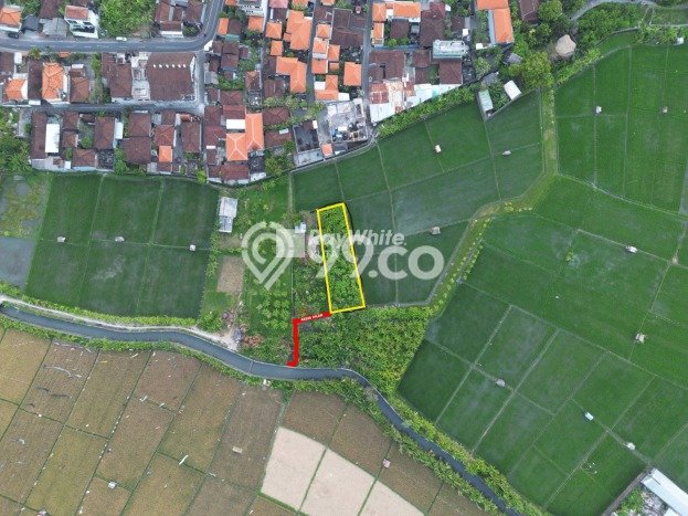 Tanah untuk Disewa di Badung Luas 610m2 Tanah untuk Disewa di Badung Luas 610m2