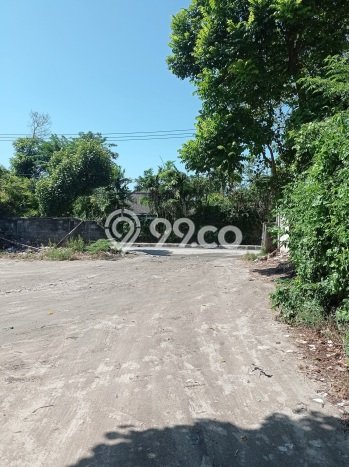Dijual Tanah di Kuta Badung Luas 2000m2 SHM Dijual Tanah di Kuta Badung Luas 2000m2 SHM