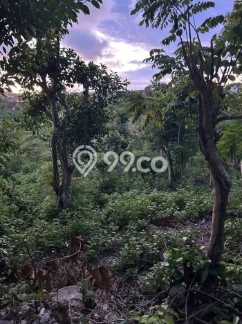 Tanah Dijual Lokasi Strategis di Badung dengan Luas 1600m2 Tanah Dijual Lokasi Strategis di Badung dengan Luas 1600m2