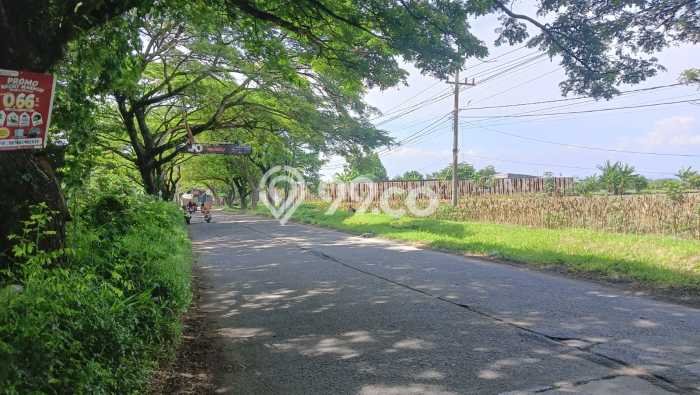 Kavling Tanah di Mranggen Dijual Luas 1293m2 Legalitas SHM Kavling Tanah di Mranggen Dijual Luas 1293m2 Legalitas SHM
