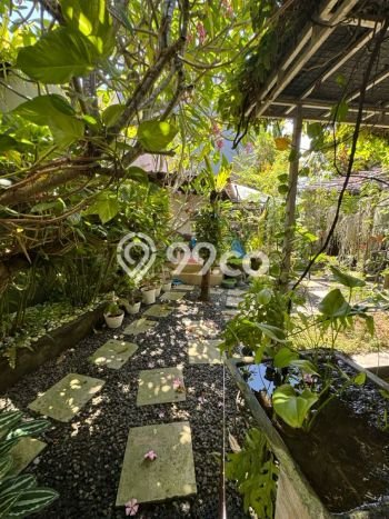 Hunian Mewah LB 400m2 Siap Pakai Desain Elegan di Jimbaran, Badung Hunian Mewah LB 400m2 Siap Pakai Desain Elegan di Jimbaran, Badung