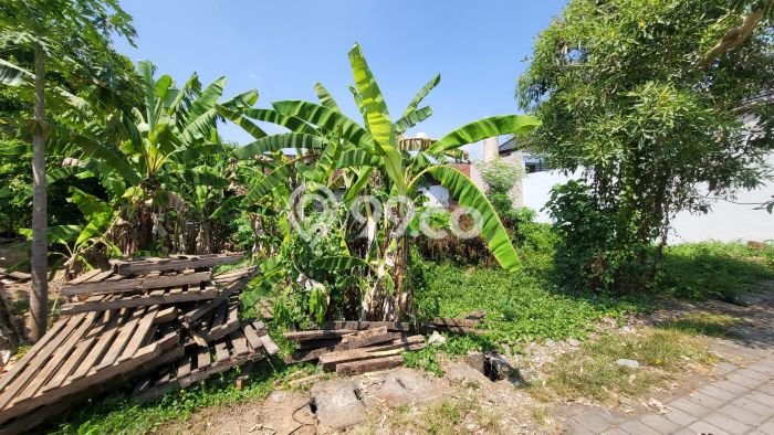 Tanah di Ubud, Gianyar Luas 115m2 Dijual Segera Tanah di Ubud, Gianyar Luas 115m2 Dijual Segera
