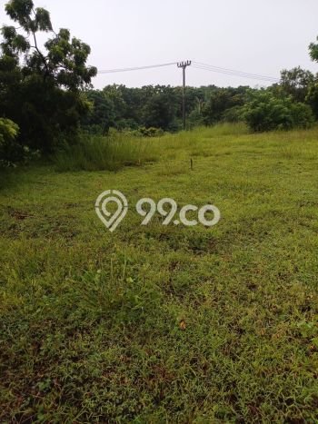 Lahan Kosong Dijual di Buleleng dengan Area 12000m2 Lahan Kosong Dijual di Buleleng dengan Area 12000m2