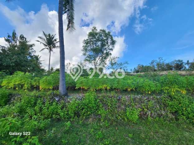 Tanah Dijual Lokasi Strategis di Klungkung dengan Luas 2000m2 Tanah Dijual Lokasi Strategis di Klungkung dengan Luas 2000m2