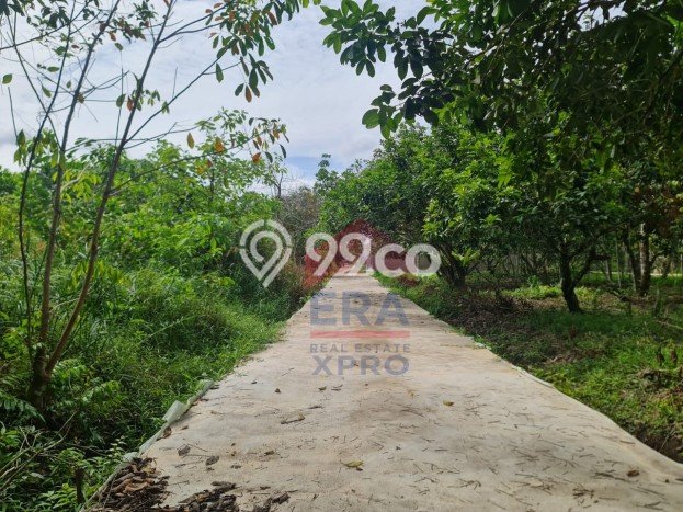 Lahan Kosong Dijual di Sungai Raya, Kubu Raya, Luas 800m2 Area Strategis Lahan Kosong Dijual di Sungai Raya, Kubu Raya, Luas 800m2 Area Strategis