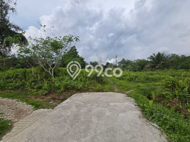 Lahan Strategis di Pontianak Selatan Dijual dengan Luas 371m2 Lahan Strategis di Pontianak Selatan Dijual dengan Luas 371m2