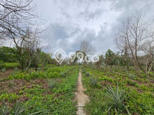 Lahan Strategis di Pontianak Selatan Dijual dengan Luas 371m2 Lahan Strategis di Pontianak Selatan Dijual dengan Luas 371m2