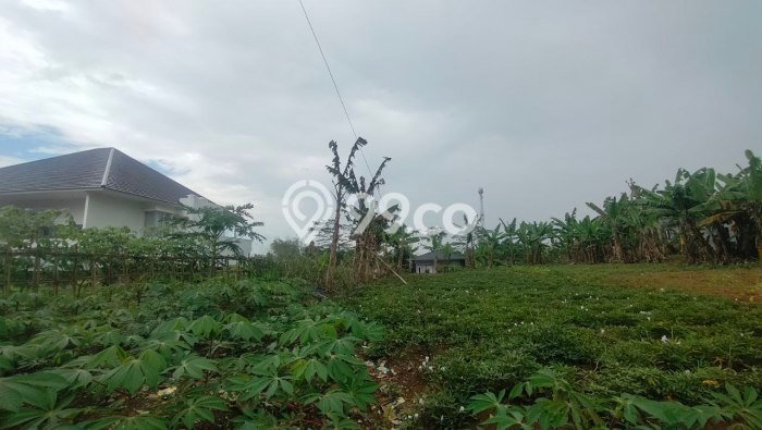 Kavling Tanah Dijual di Cikole Sukabumi Spesifikasi 1360m2 Kavling Tanah Dijual di Cikole Sukabumi Spesifikasi 1360m2