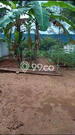 Tanah Dijual Lokasi Cibadak, Sukabumi dengan Luas Tanah 606m2 dan Status SHM Tanah Dijual Lokasi Cibadak, Sukabumi dengan Luas Tanah 606m2 dan Status SHM