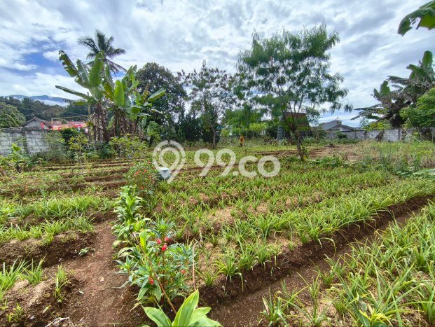 Tanah Kavling Dijual di Kota Sukabumi, Sukabumi dengan Luas Tanah 1453m2 Tanah Kavling Dijual di Kota Sukabumi, Sukabumi dengan Luas Tanah 1453m2