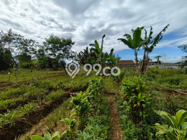 Tanah Kavling Dijual di Kota Sukabumi, Sukabumi dengan Luas Tanah 1453m2 Tanah Kavling Dijual di Kota Sukabumi, Sukabumi dengan Luas Tanah 1453m2