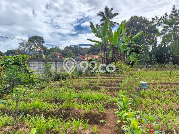 Tanah Kavling Dijual di Kota Sukabumi, Sukabumi dengan Luas Tanah 1453m2 Tanah Kavling Dijual di Kota Sukabumi, Sukabumi dengan Luas Tanah 1453m2