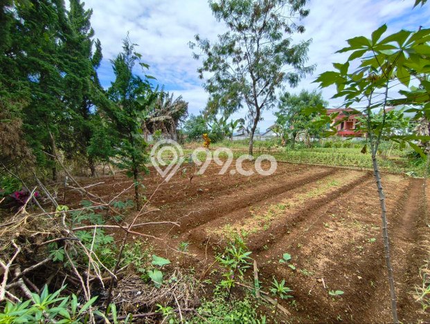 Tanah Kavling Dijual di Kota Sukabumi, Sukabumi dengan Luas Tanah 1453m2 Tanah Kavling Dijual di Kota Sukabumi, Sukabumi dengan Luas Tanah 1453m2