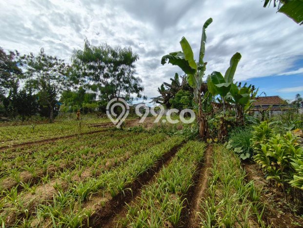 Tanah Kavling Dijual di Kota Sukabumi, Sukabumi dengan Luas Tanah 1453m2 Tanah Kavling Dijual di Kota Sukabumi, Sukabumi dengan Luas Tanah 1453m2
